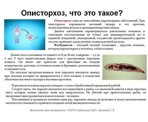 Описторхоз и его причины