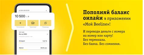 Оплата и переводы