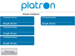 Оплата через терминалы и платежные системы