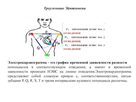 Определение временных границ второй половины дня