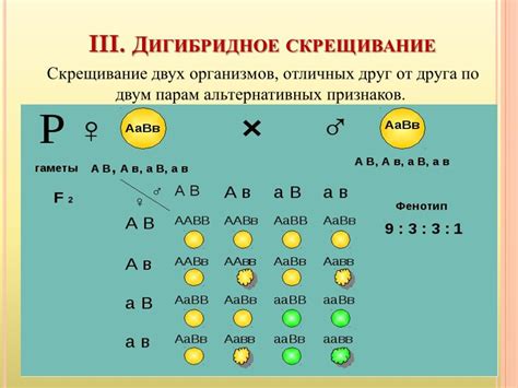 Определение генотипа