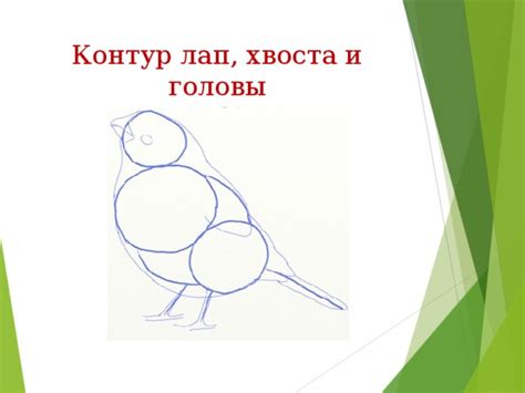 Определение головы и хвоста