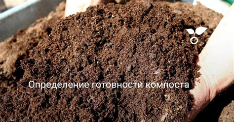 Определение готовности компоста