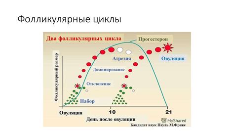 Определение оптимального времени для загорания