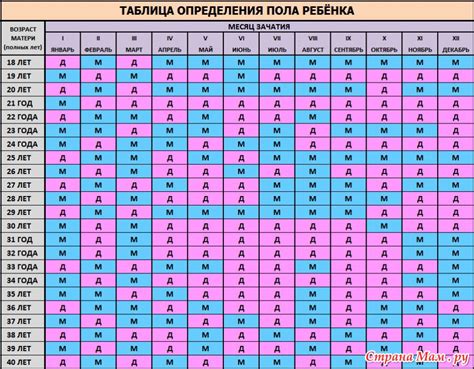 Определение пола ребенка в исламе