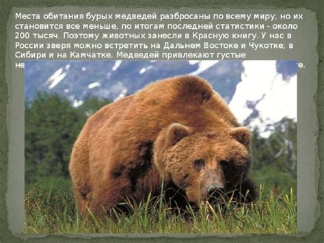 Определяем места обитания волков и медведей