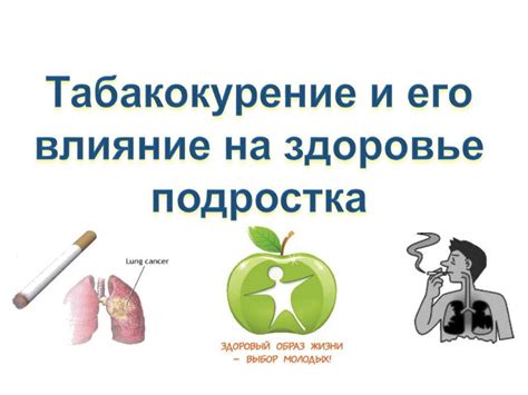 Опрыскивание драцены и его влияние на ее здоровье