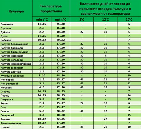 Оптимальная температура для роста семян астры
