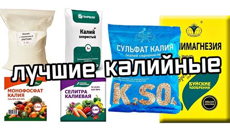 Оптимальное время для внесения калийных удобрений