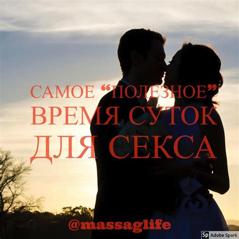 Оптимальное время для встречи с крупным копытным
