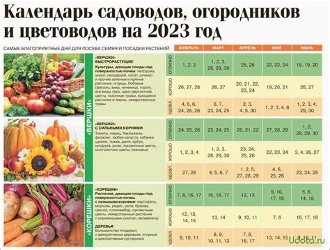 Оптимальное время для посадки рассады в Ленинградской области