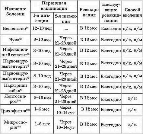 Оптимальное время для прививок вашего щенка