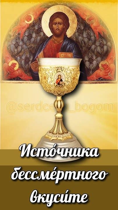 Оптимальное время причащения