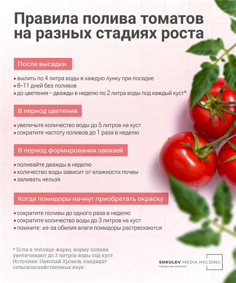 Оптимальное количество поливов