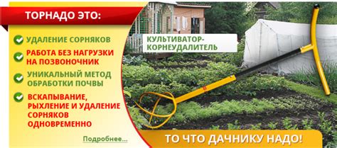 Оптимальное расположение грядок с чесноком и малиной