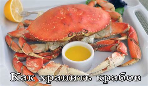 Оптимальное хранение и перезамораживание крабовых палочек