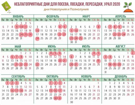 Оптимальные дни сдачи крови по лунному календарю