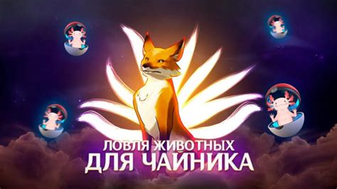 Оптимальные места