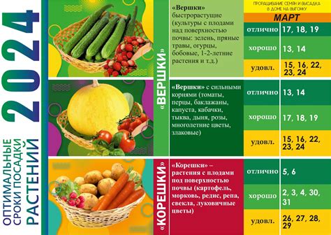 Оптимальные сроки