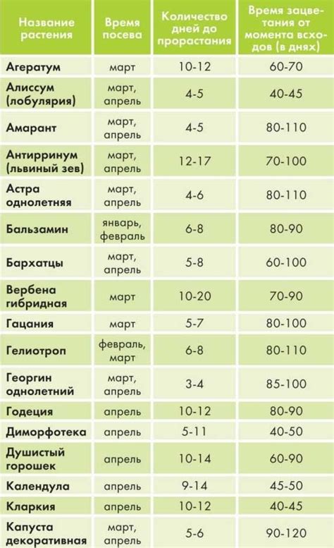 Оптимальные сроки для весеннего посева