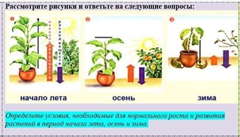Оптимальные условия для сбора