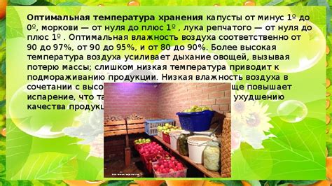 Оптимальные условия хранения лука