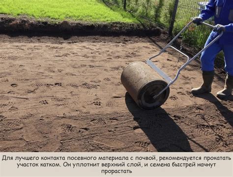 Оптимальный срок для посева газона в ноябре
