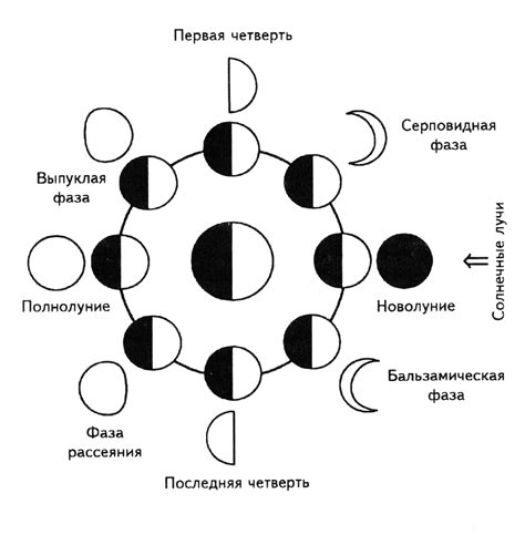 Орбитальные особенности лунной фазы