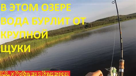 Осенняя рыбалка: сезон крупных окуней и щук