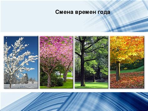 Осенняя смена времен года и сокращение дней