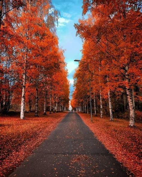 Осень: самое красочное время года