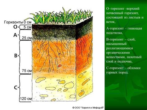 Осенью удобрения успевают вымыться и проникнуть в глубинные слои почвы