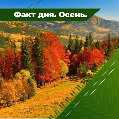 Осень - время урожая
