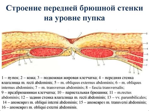 Осложнения гноящегося пупка