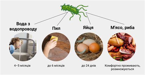 Осложнения при самостоятельном протекании сальмонеллеза