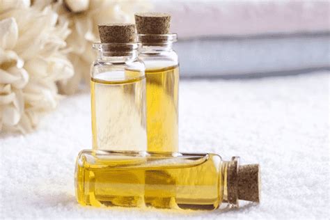 Основные ингредиенты для создания духов
