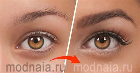 Основные ошибки при уходе за бровями