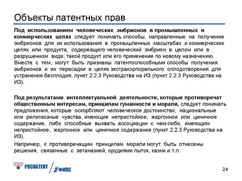 Основные права и обязанности патентного правообладателя