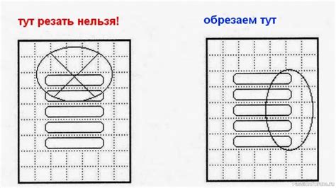 Основные правила обрезки