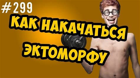 Основные правила тренировок