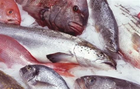 Основные правила упаковки рыбы для хранения в морозилке