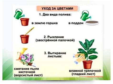 Основные правила ухода за домом для огородничества