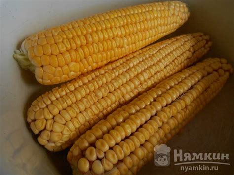 Основные преимущества заморозки кукурузы на зиму
