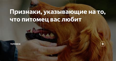 Основные признаки, указывающие на то, что человек вас любит
