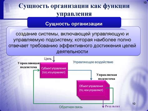 Основные принципы: определение и сущность