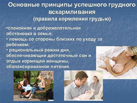 Основные принципы кормления грудью