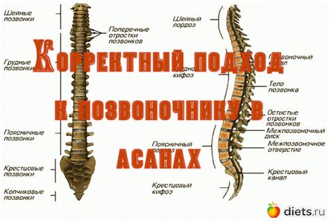 Основные принципы корректного положения тела