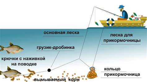 Основные принципы ловли леща