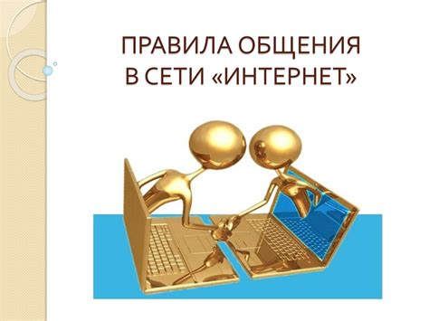 Основные принципы общения с кошками и способы добиться взаимопонимания