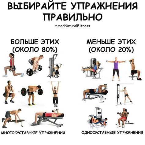 Основные принципы тренировок для изменения веса
